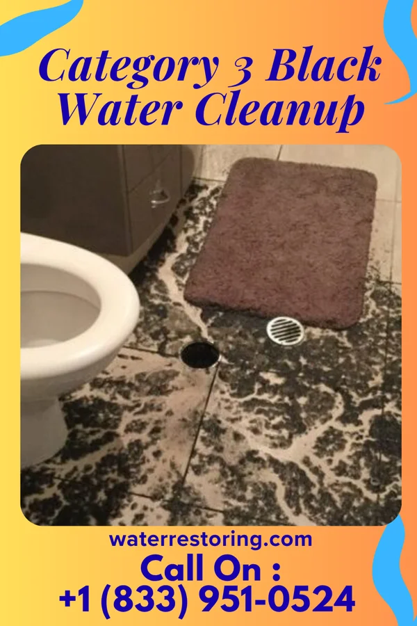 Category 3 Black Water Cleanup in Helotes, TX