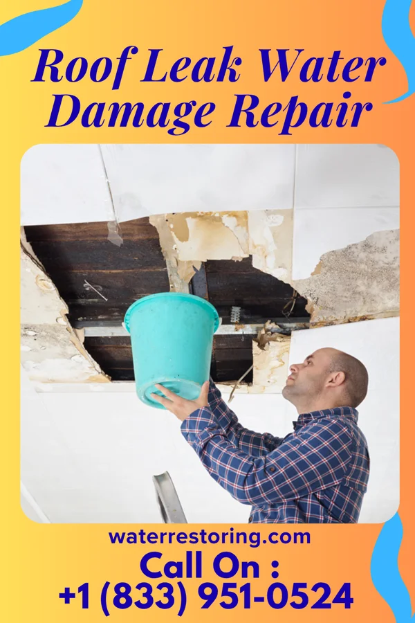 Roof Leak Water Damage Repair in Helotes, TX