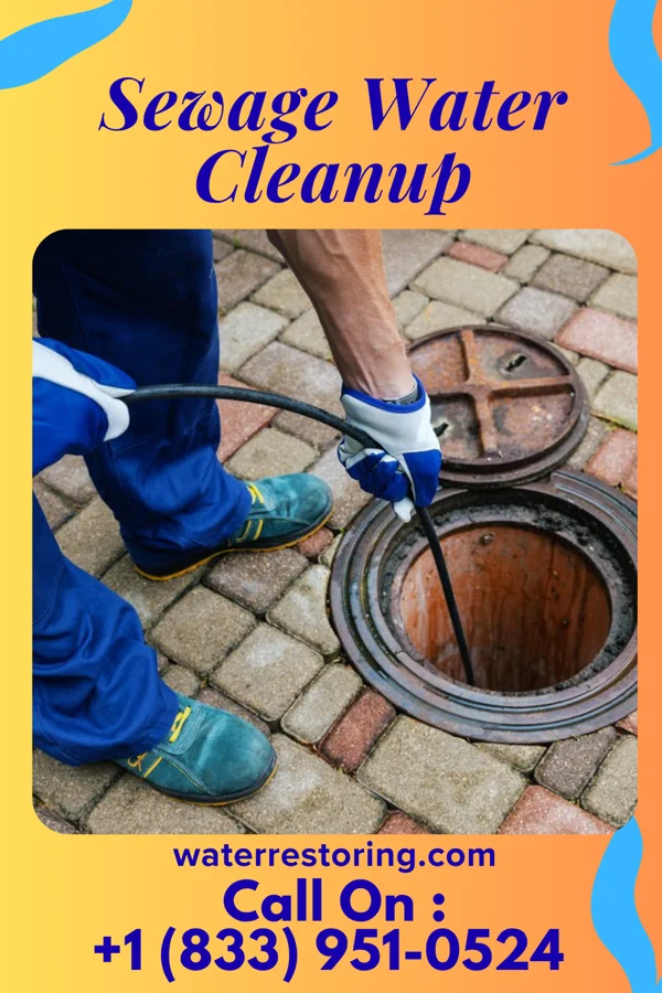 Sewage Water Cleanup in Helotes, TX